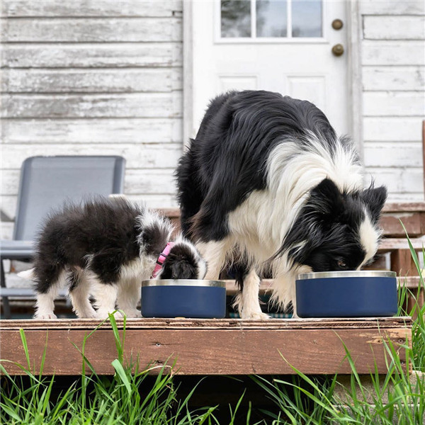32/64oz Dog Bowl Stainless Steel Dog Water Bowl Non-Slip Dog Food Bowls  Portable Pet Feeder Bowls for Medium Large Dogs Cats 